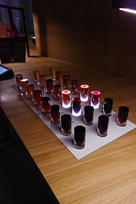 Visite Bernadette et Catherine-267